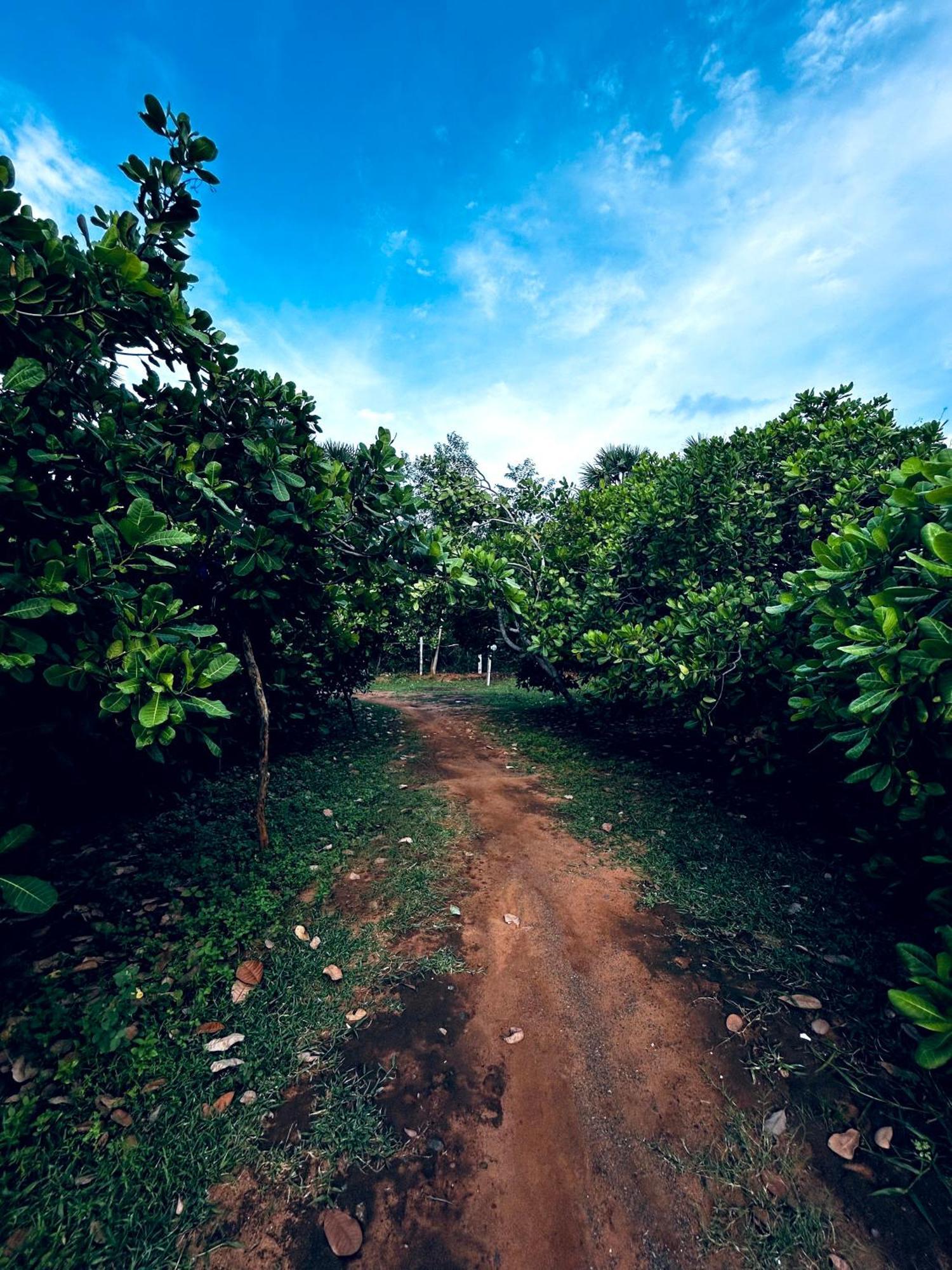 Boomerang Community Auroville Buitenkant foto