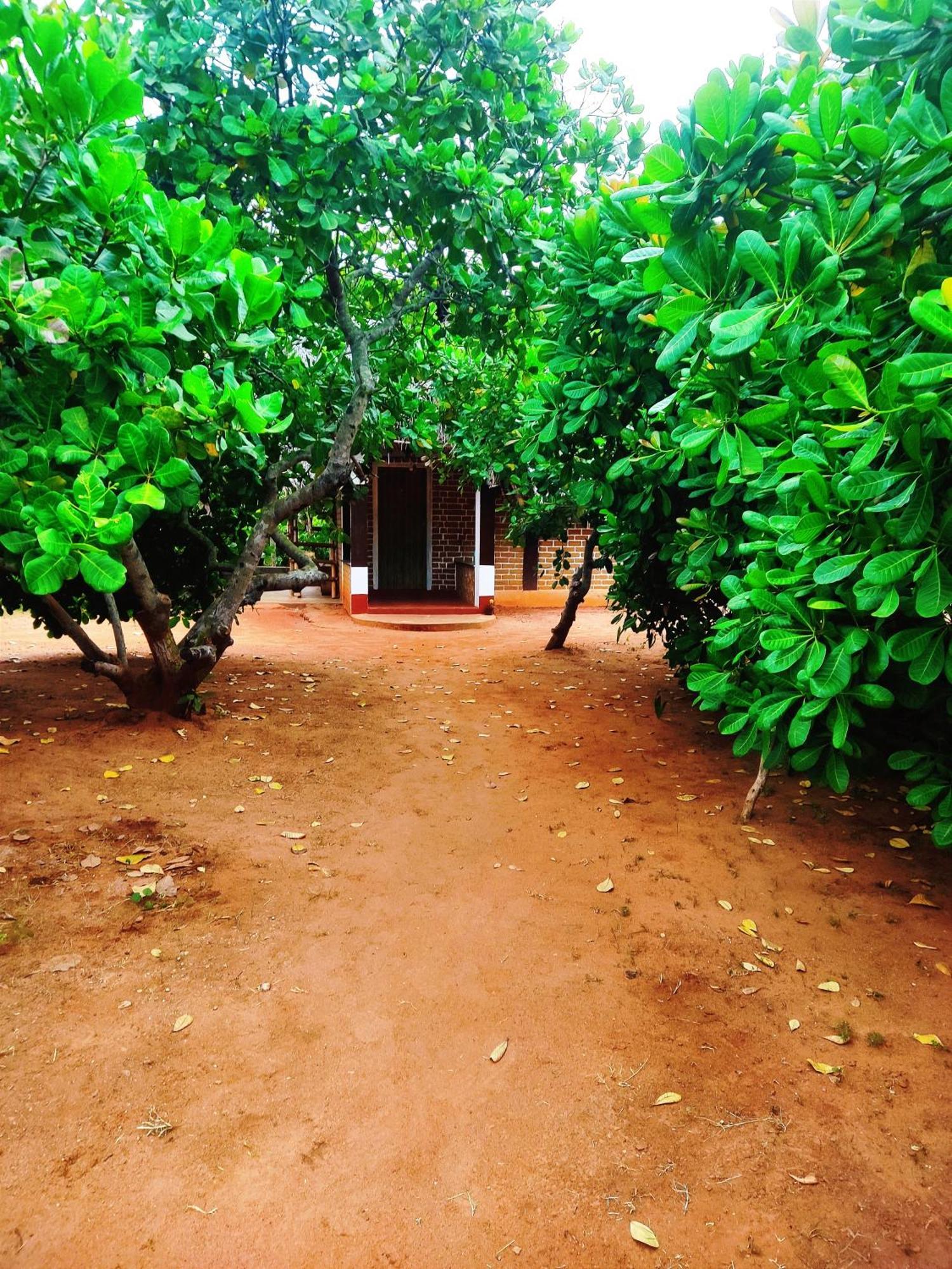 Boomerang Community Auroville Buitenkant foto
