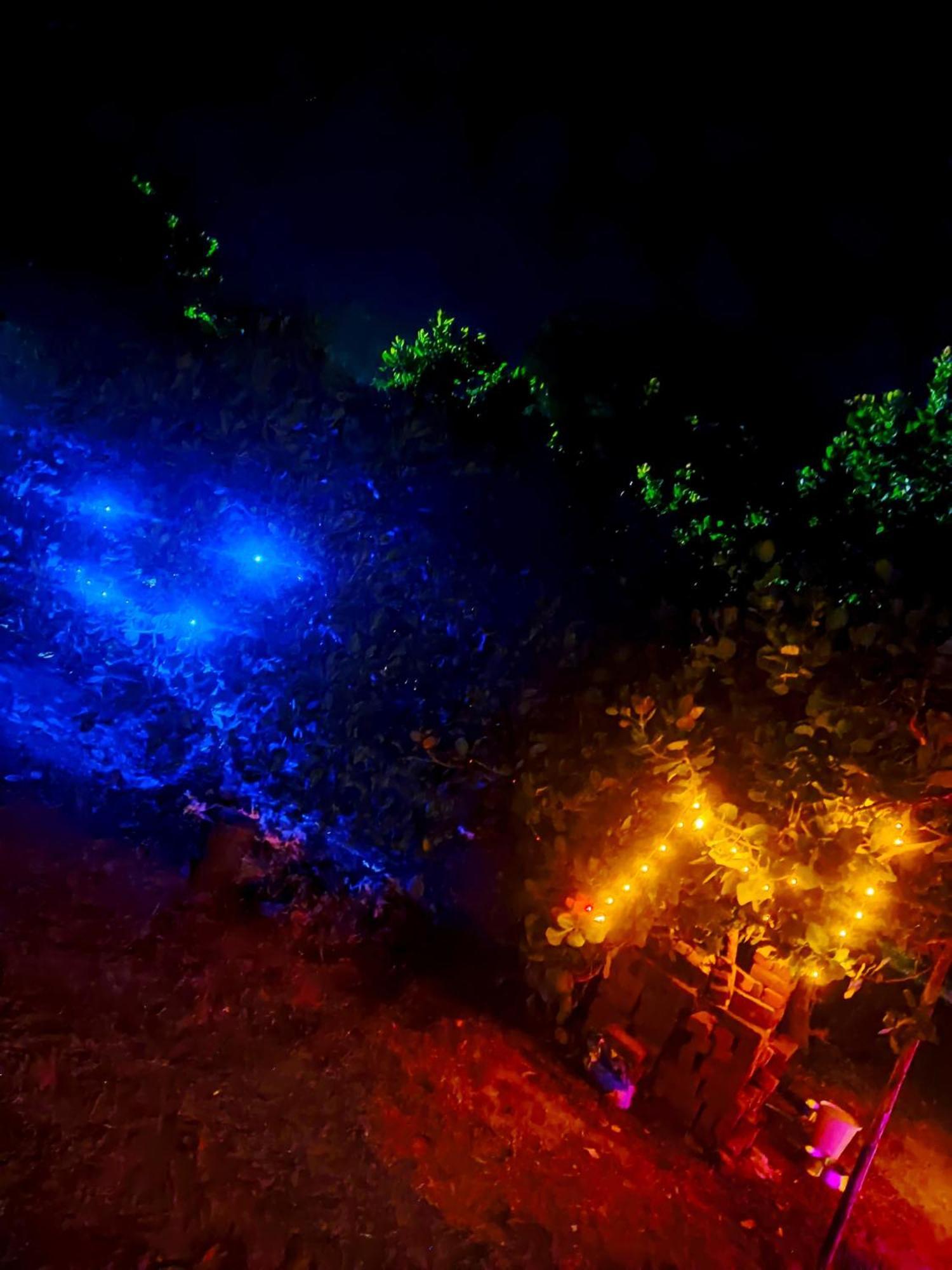 Boomerang Community Auroville Buitenkant foto