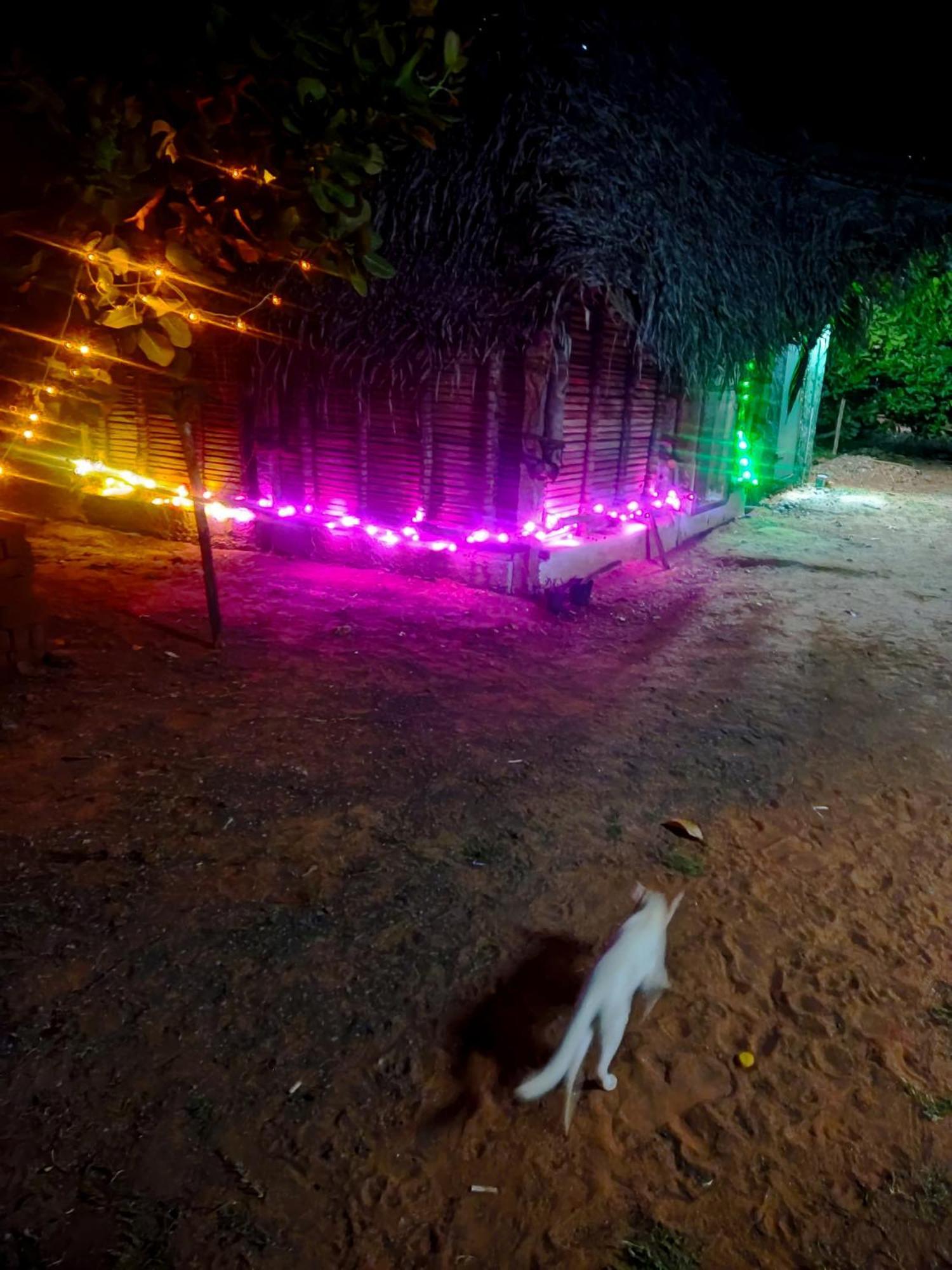 Boomerang Community Auroville Buitenkant foto