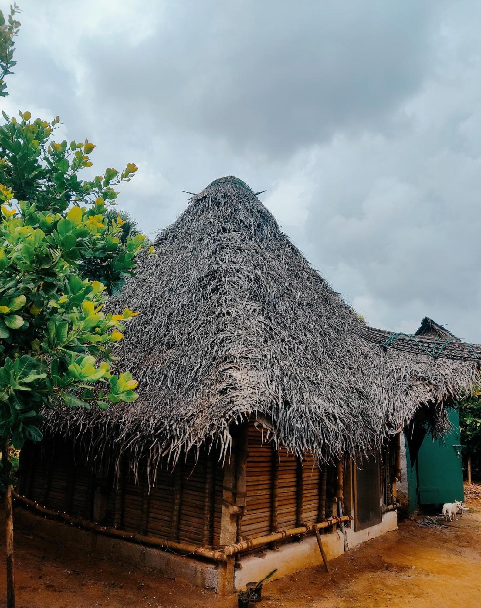 Boomerang Community Auroville Buitenkant foto